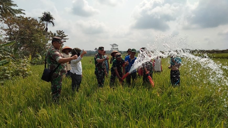 Danramil Susukan dan Warga Binaan Laksanakan Pompanisasi di Sawah Tadah Hujan