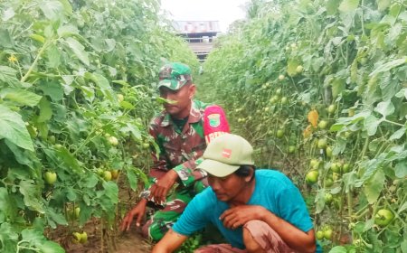 Upaya Meningkatkan Hasil Pertanian Babinsa Arso Turun Lapangan Beri Motivasi Petani