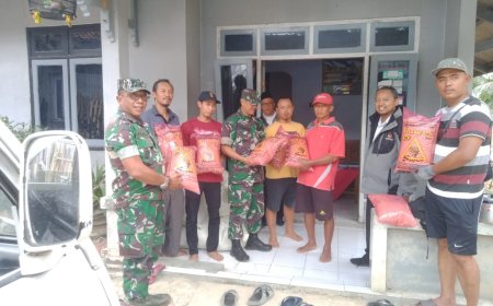 Danramil 13 Banjarmangu Dampingi Penyaluran Bibit Padi untuk Poktan Merawu Makmur