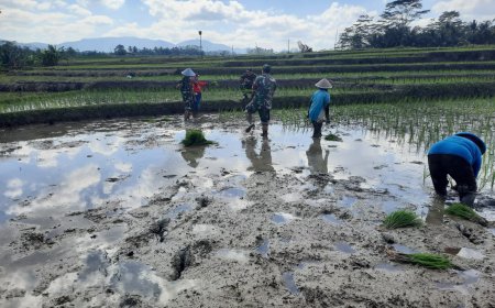 Percepat Perluasan Areal Tanam di Desa Gumingsir