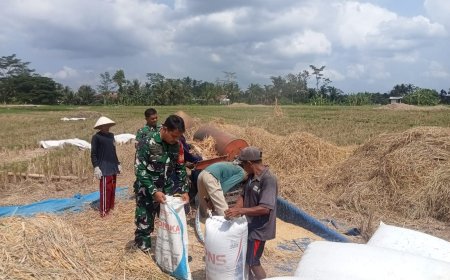 Danramil Terjun Langsung bersama Petani Demi Terwujudkan Ketahanan Pangan