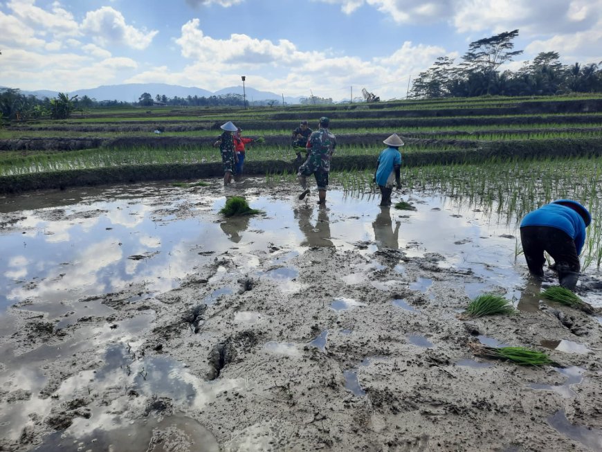 Percepat Perluasan Areal Tanam di Desa Gumingsir