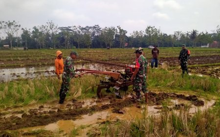 Koramil Klampok Dampingi Petani Olah Lahan untuk Tanam Padi