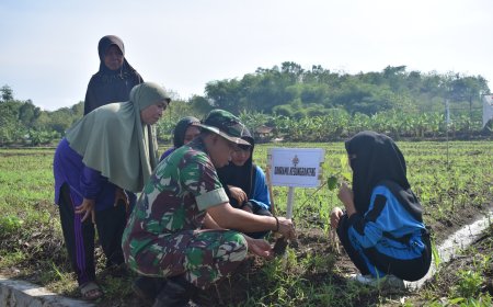Kodim 0712 Tegal Tanam Bibit Sukun Bantuan Dari Persatuan Purnawirawan Angkatan Darat (PPAD)
