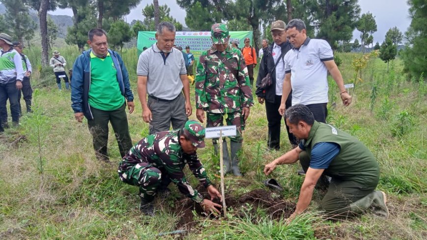 Danramil Bumijawa Bersama Forkompinda Kabupaten Tegal Melaksanakan Penanaman Di Hutan Lindung Lereng Gunung Slamet