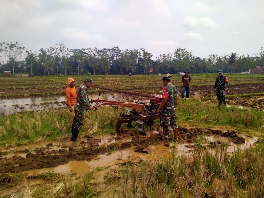 Koramil Klampok Dampingi Petani Olah Lahan untuk Tanam Padi