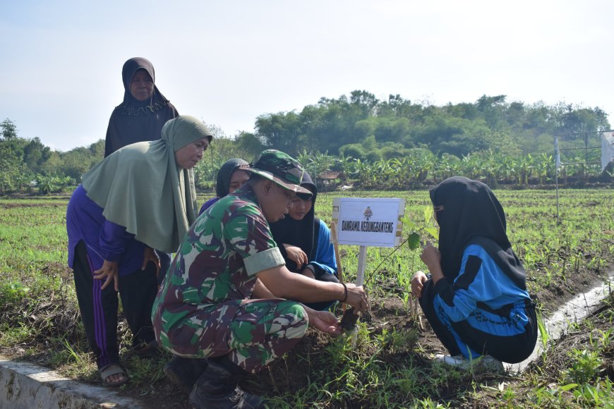 Kodim 0712 Tegal Tanam Bibit Sukun Bantuan Dari Persatuan Purnawirawan Angkatan Darat (PPAD)