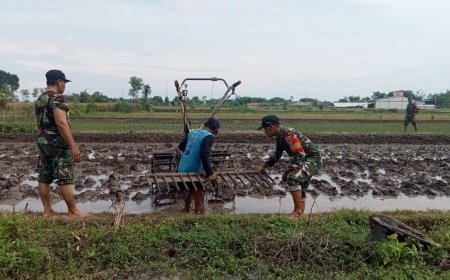 Percepat Masa Tanam, Babinsa Koramil Tarub Damping Petani Siapkan Lahan Dan Bibit