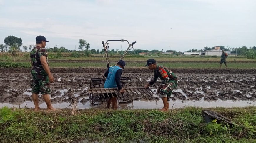 Percepat Masa Tanam, Babinsa Koramil Tarub Damping Petani Siapkan Lahan Dan Bibit