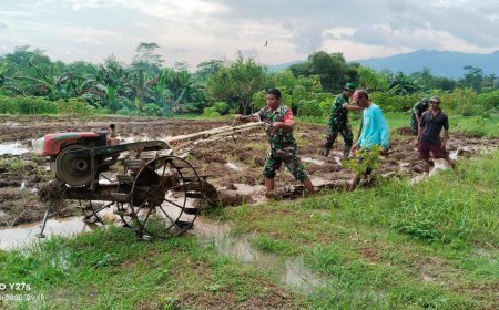 Babinsa Desa Kedawung Dampingi Petani Olah Lahan Demi Swasembada Pangan