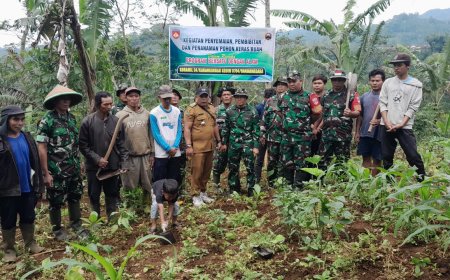 Koramil 04 Karangkobar dan Warga Tanam 700 Pohon Kopi 