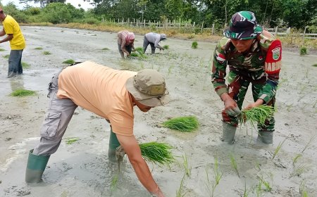 Kolaborasi Babinsa dan PPL Sukses Dukungan Teknis untuk Petani Padi di Skanto