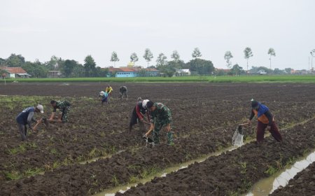 Satgas TMMD Kodim Tegal Mulai Sentuh Program Ketahanan Pangan