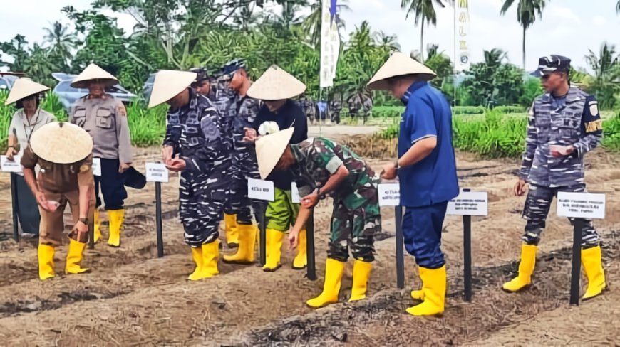 Penanaman Jagung Secara Serentak Kasdim Jayapura Pentingnya Sinergi Lintas Sektor