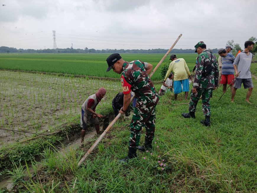 Babinsa Koramil Tarub Bersama Petani Berantas Hama Tikus
