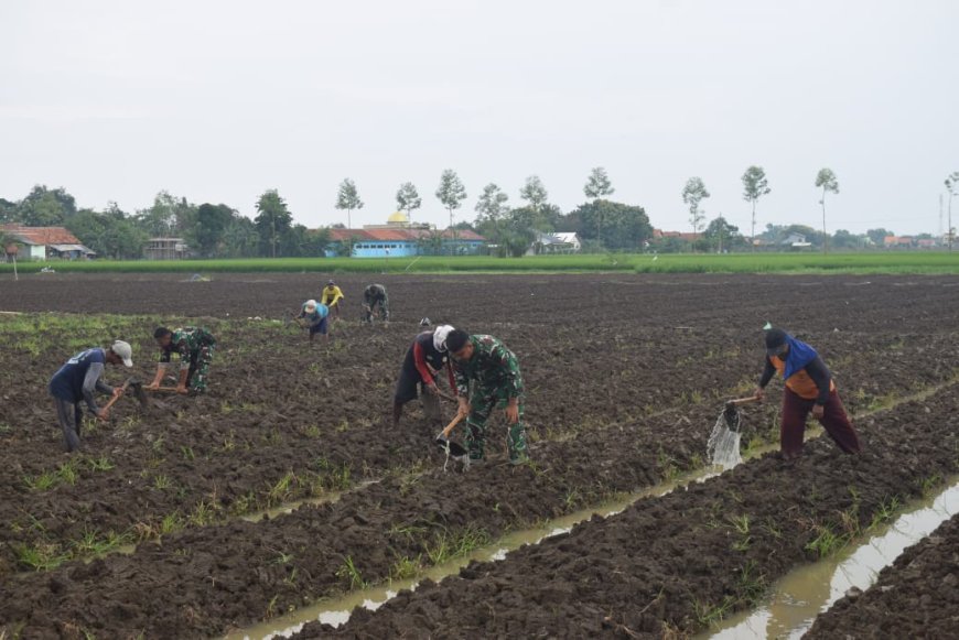Satgas TMMD Kodim Tegal Mulai Sentuh Program Ketahanan Pangan