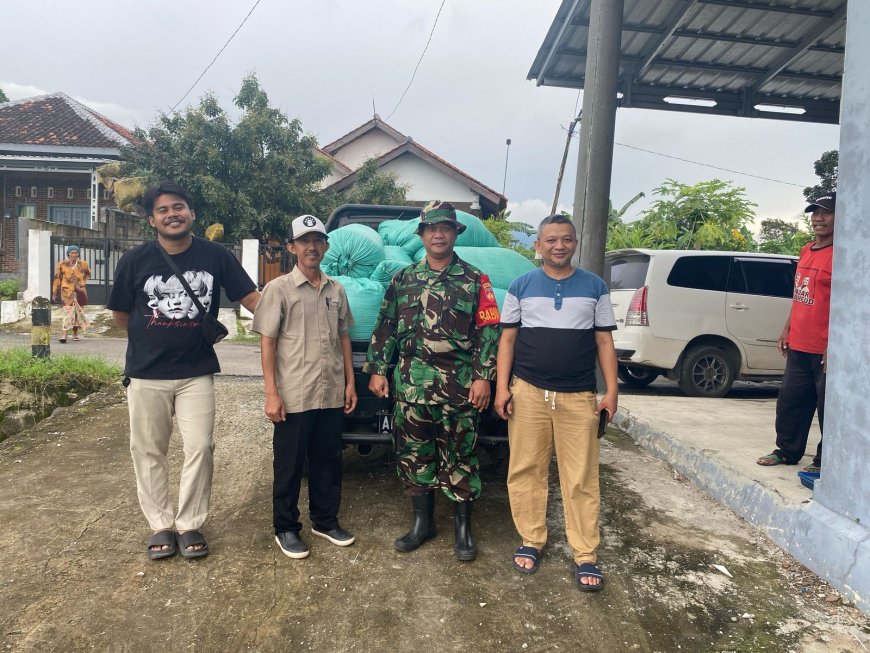Babinsa Koramil Balapulang Dampingi Bulog Serap Gabah Milik Petani