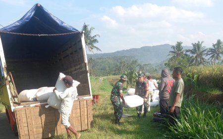 Babinsa Bantu Petani Angkut Hasil Panen ke Bulog