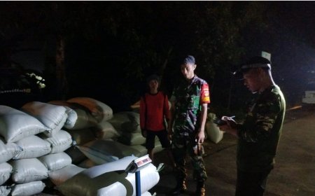 Babinsa Koramil Lebaksiu Dampingi Bulog Serap Gabah Petani Di Wilayah Binaan