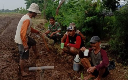 Motivasi Petani Bawang, Babinsa Turun Langsung Ke Sawah