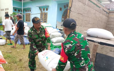 Babinsa Ramil Sumurpanggang Bersama  PPL, Dampingi Bulog Serap Gabah Panen Petani
