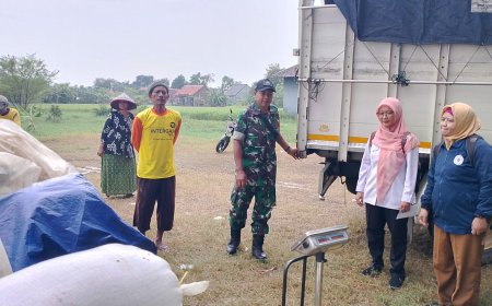 Babinsa Dampingi Penyerapan Gabah Petani Oleh Bulog Di Wilayah Binaan