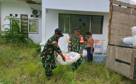 Babinsa Kodim Tegal Damping Sergab Panen Padi Poktan Trimulyo