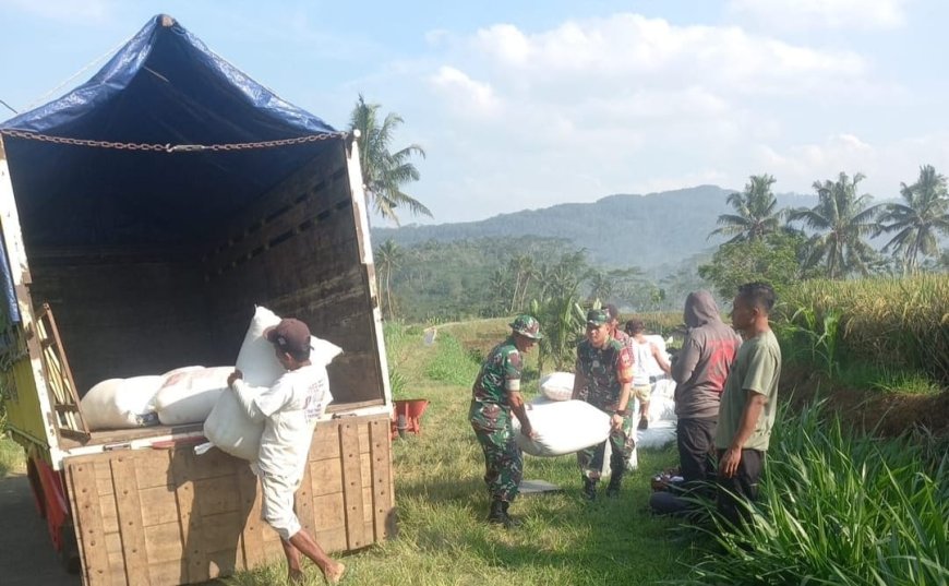 Babinsa Bantu Petani Angkut Hasil Panen ke Bulog