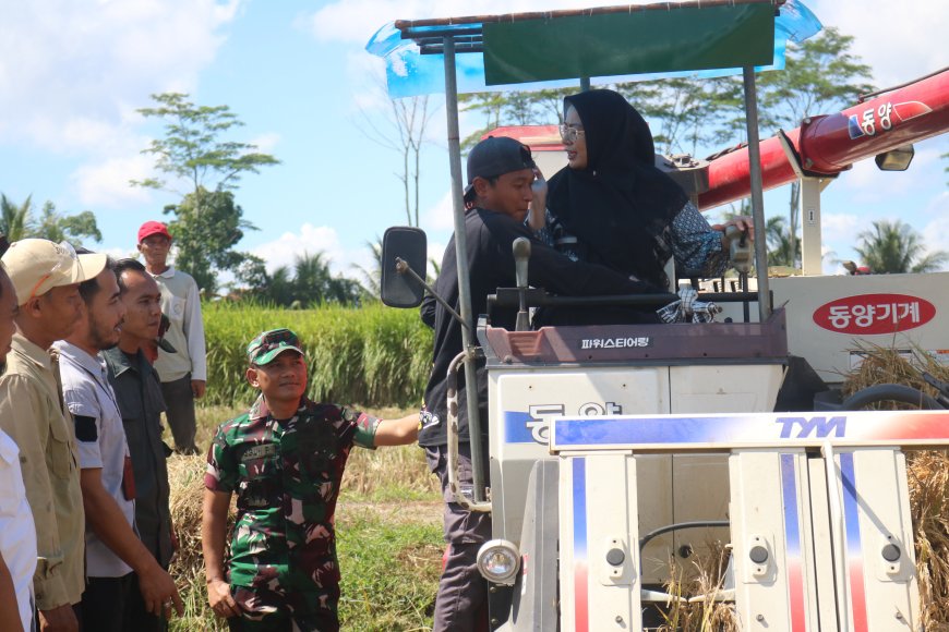 Panen Raya Serentak Banjarnegara Sumbang Ketahanan Pangan Nasional