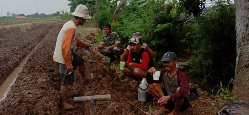 Motivasi Petani Bawang, Babinsa Turun Langsung Ke Sawah