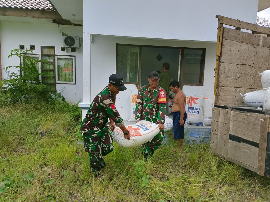Babinsa Kodim Tegal Damping Sergab Panen Padi Poktan Trimulyo