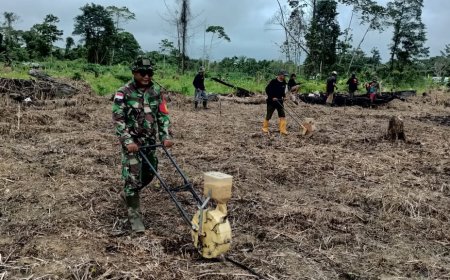 Tingkatkan Produktivitas Pertanian, Babinsa Senggi Bersama PPL Lakukan Pendampingan Tanam Padi Kelompok Tani Satu Hati