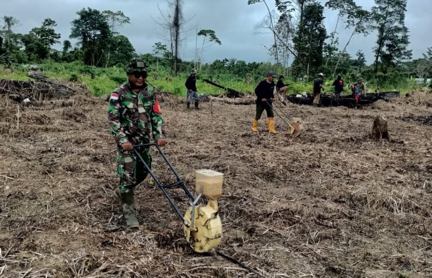 Tingkatkan Produktivitas Pertanian, Babinsa Senggi Bersama PPL Lakukan Pendampingan Tanam Padi Kelompok Tani Satu Hati