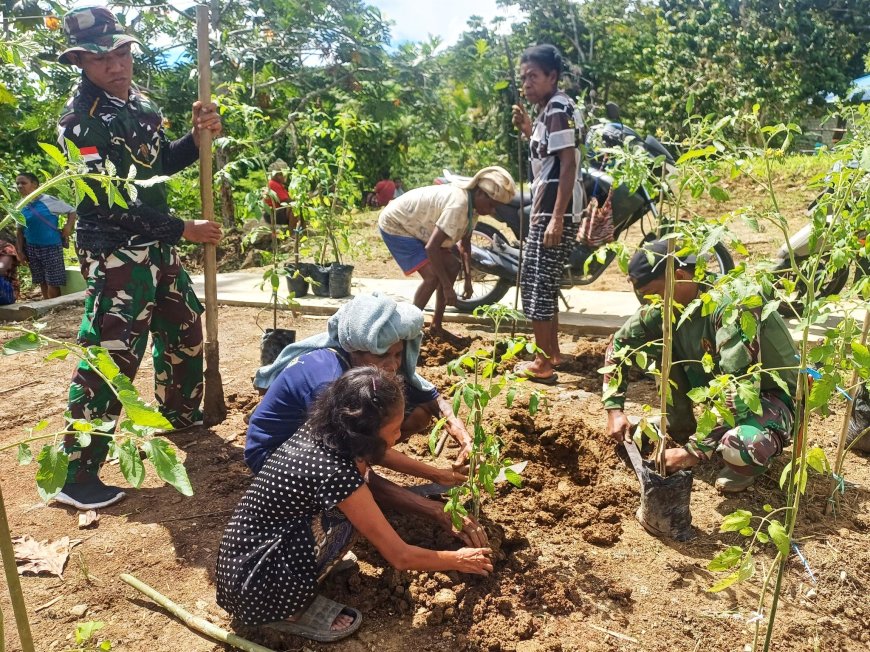 Perkuat Ketahanan Pangan Satgas TMMD Kodim Jayapura Bersama Warga Tanam Tanaman Palawija