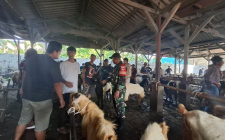 Menjelang Idul Adha, Babinsa Koramil 14 Slawi Lakukan Pemantauan Pasar Hewan Kurban