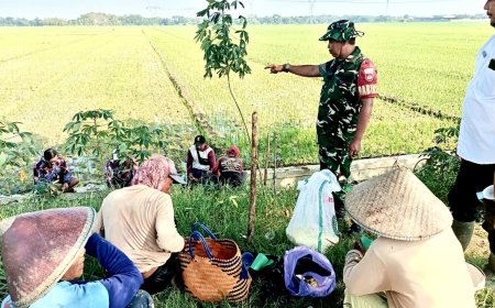 Babinsa Koramil 13 Kedungbanteng Pelda Yoko Susilo Dukung Pengendalian Hama Tikus di Desa Kebandingan