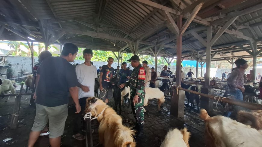 Menjelang Idul Adha, Babinsa Koramil 14 Slawi Lakukan Pemantauan Pasar Hewan Kurban