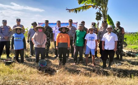 Danramil 05/Suradadi Hadiri Penanaman Jagung Serentak dalam Program Ketahanan Pangan Polri 2025 di Desa Jatimulya