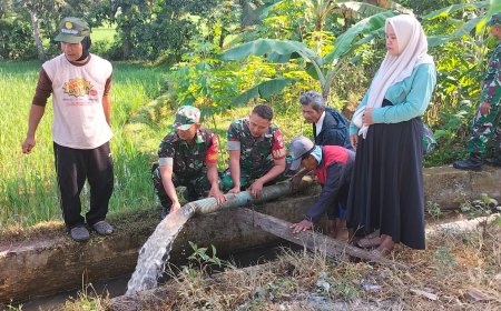 Jaga Ketahanan Pangan di Musim Kemarau Danramil Punggelan Tinjau Pompa Air di Sidarata