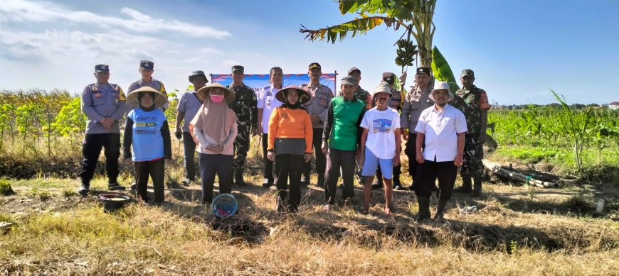 Danramil 05/Suradadi Hadiri Penanaman Jagung Serentak dalam Program Ketahanan Pangan Polri 2025 di Desa Jatimulya