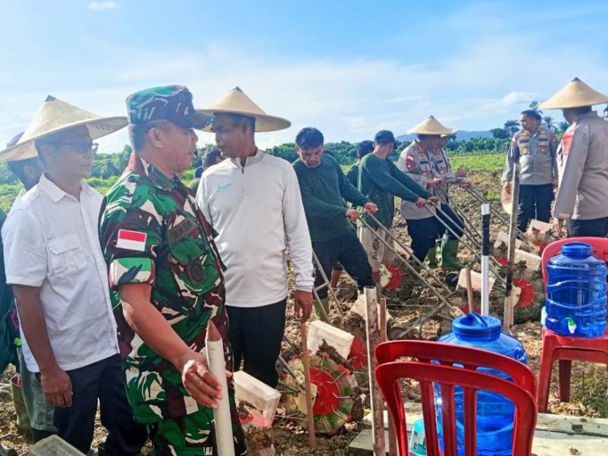Wujudkan Ketahanan Pangan Nasional, Kodim Jayapura Dukung Penanaman Jagung Serentak di Lahan Perhutanan Sosial Keerom