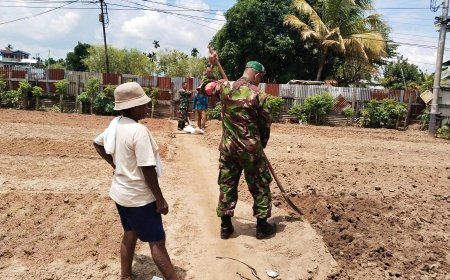 Wujudkan Ketahanan Pangan, Babinsa Koramil 1701-01/Sentani Turun ke Kebun Bangkitkan Semangat Bertani