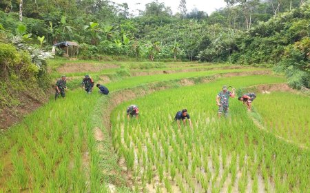 Sinegeritas TNI Dengan Petani Dalam Meningkatkan Ketahanan Pangan