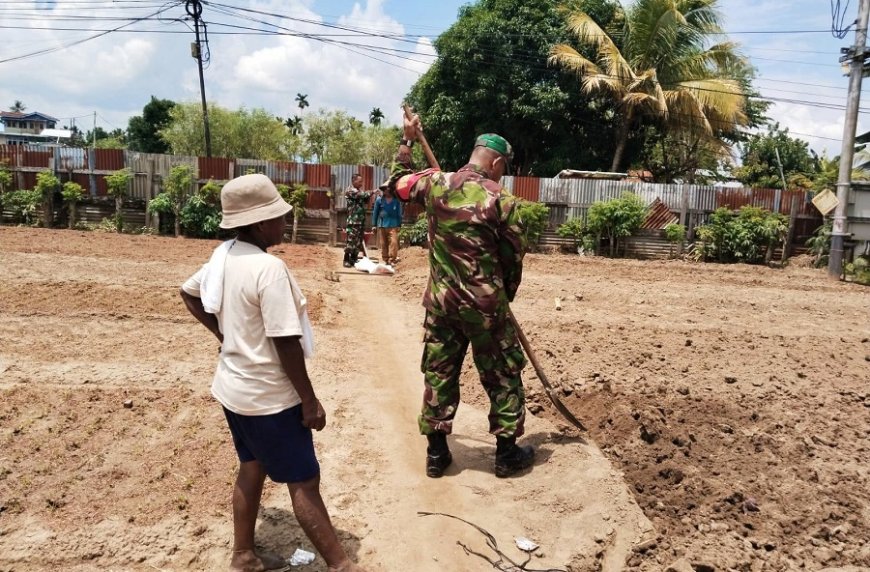 Wujudkan Ketahanan Pangan, Babinsa Koramil 1701-01/Sentani Turun ke Kebun Bangkitkan Semangat Bertani