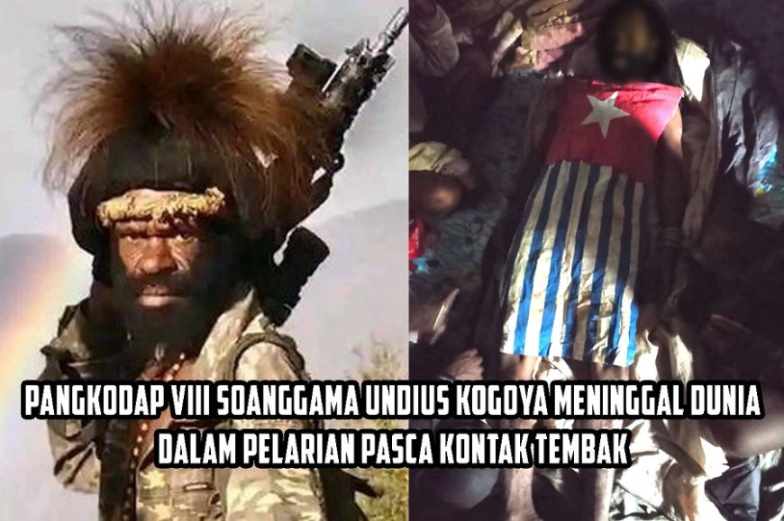Koops Habema Membenarkan Bahwa Pangkodap VIII Soanggama Undius Kogoya Meninggal Dunia Dalam Pelarian Pasca Kontak Tembak