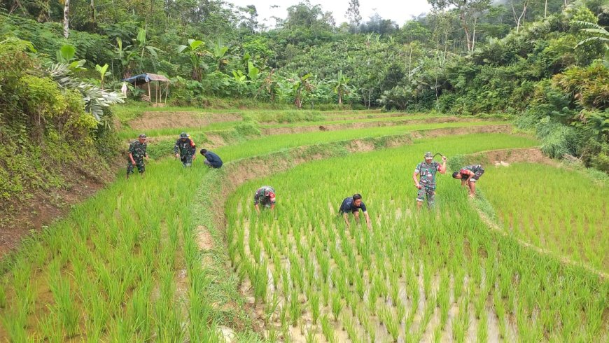 Sinegeritas TNI Dengan Petani Dalam Meningkatkan Ketahanan Pangan