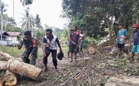 Hambat Aktivitas Warga, Babinsa Web Gotong Royong Bersihkan Pohon Tumbang