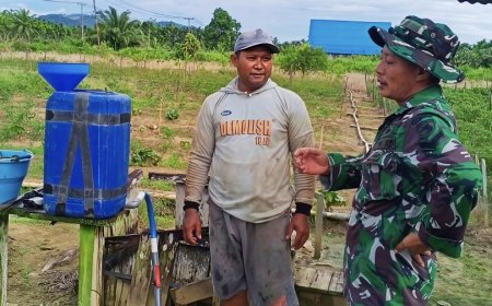 Pendampingan Intensif Babinsa untuk Warga: Dari Kebun Kol Hingga Ketahanan Pangan