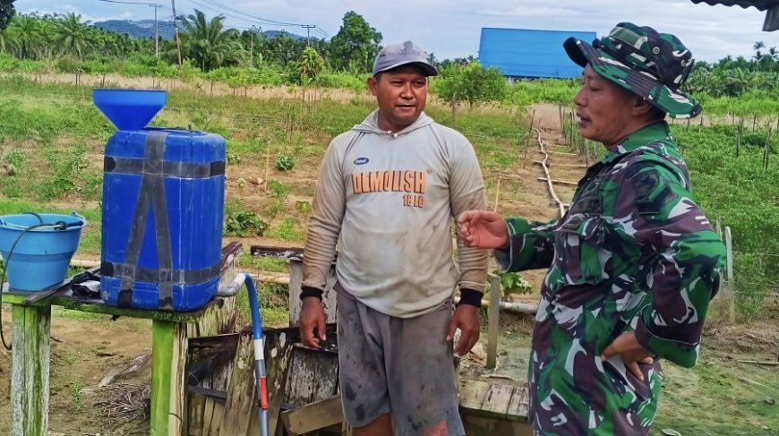 Pendampingan Intensif Babinsa untuk Warga: Dari Kebun Kol Hingga Ketahanan Pangan