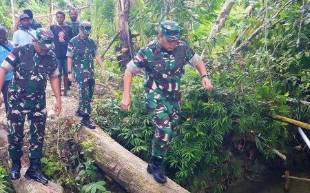 Dandim 1701/Jayapura Dampingi Danrem Tinjau Lahan Cetak Sawah di Kampung Aimbe